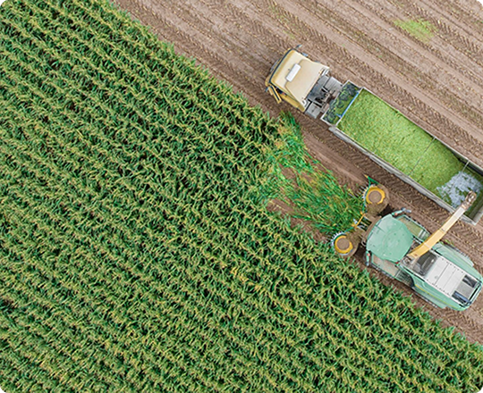 В Сарапуле появится межрегиональный агро-индустриальный парк